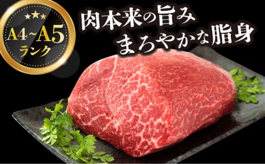 【訳あり】【A4～A5】長崎和牛モモブロック（ローストビーフ用等）約500g～600g【株式会社 MEAT PLUS】 [DBS028]