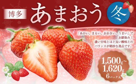 博多あまおう2パック（冬）250g～270g×6パック 【2024年12月上旬-2025年1月下旬発送予定】