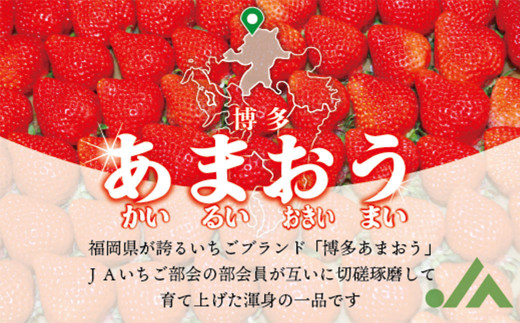 博多あまおう2パック（冬）250g～270g×6パック 【2024年12月上旬-2025年1月下旬発送予定】