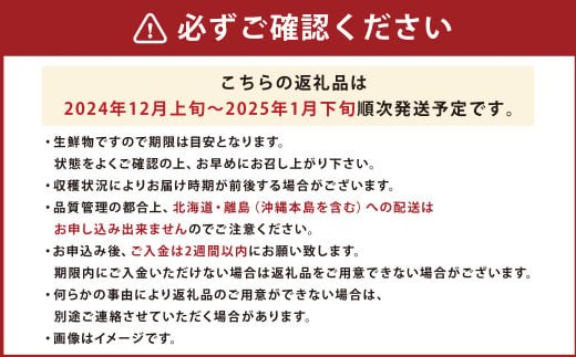 博多あまおう2パック（冬）250g～270g×6パック 【2024年12月上旬-2025年1月下旬発送予定】