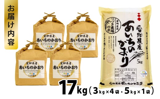 No.189 【令和6年産 新米】愛知県産あいちのかおり　17kg【申込受付は11月末まで】 ／ お米 精米 大粒 あっさり 愛知県 特産品