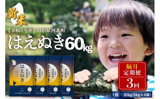 【令和5年産米】※2023年12月上旬スタート※ はえぬき60kg（20kg×3回）隔月定期便 山形県産【米COMEかほく協同組合】