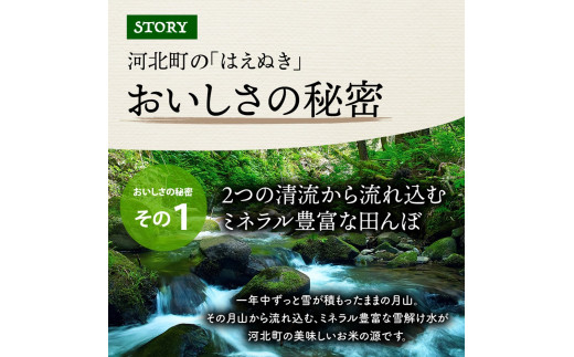 【令和5年産米】※2023年12月上旬スタート※ はえぬき60kg（20kg×3回）隔月定期便 山形県産【米COMEかほく協同組合】