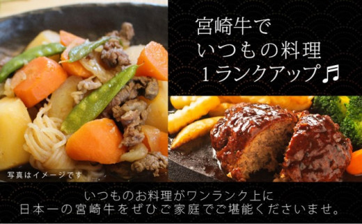 [№5738-0059]宮崎牛 こま肉＆ミンチセット 1kg（こま400g・ミンチ600g）※配送不可：一部離島