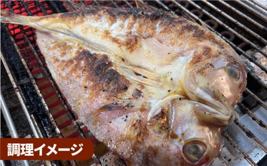 びっくりビッグサイズ！甘鯛一夜干し2尾（1尾あたり約400g） おつまみ 酒の肴 焼き物にぴったり 吉野ヶ里町/やきとり紋次郎 [FCJ075]