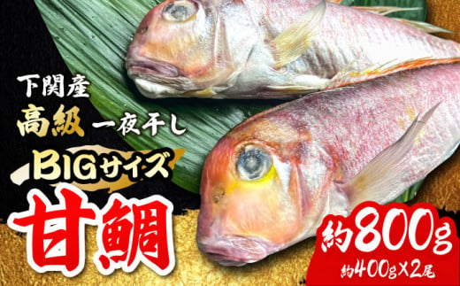 びっくりビッグサイズ！甘鯛一夜干し2尾（1尾あたり約400g） おつまみ 酒の肴 焼き物にぴったり 吉野ヶ里町/やきとり紋次郎 [FCJ075]