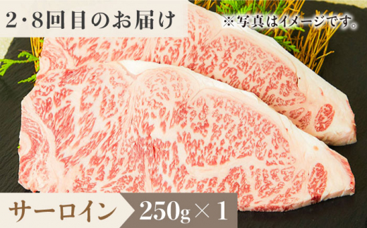 ＜12回定期便＞1ヶ月に1度の佐賀牛ひとり贅沢コース ステーキ/焼肉/スライス【ミートフーズ華松】 [FAY067]