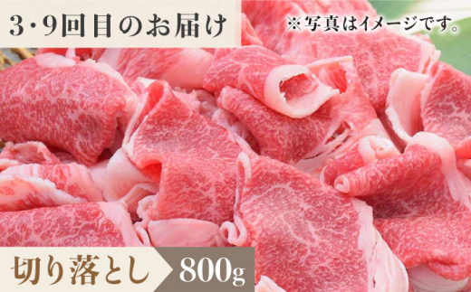 ＜12回定期便＞1ヶ月に1度の佐賀牛ひとり贅沢コース ステーキ/焼肉/スライス【ミートフーズ華松】 [FAY067]