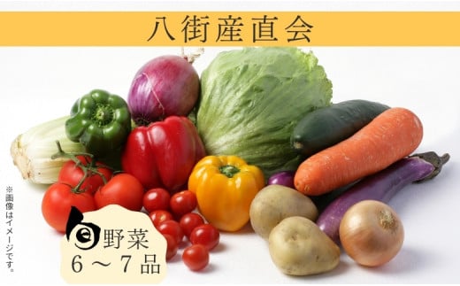 八街産直会 こだわり の 旬 野菜セット 6～7品 野菜 野菜詰め合わせ 八街市 千葉県 産地直送 春夏野菜