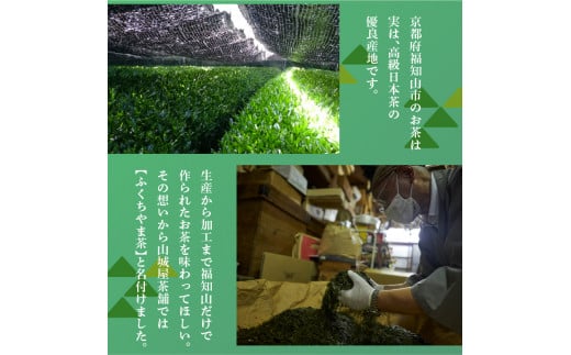 アイスバー フレーバー3種 10本セット(濃厚抹茶×4本、抹茶みかんミルク×3本、抹茶ブルーベリーみかん×3本)   アイス フルーツバーラー 抹茶味 抹茶みかんミルク味 抹茶蜜柑ブルーベリー味 ソルベ 棒アイス 食べ比べ デザート  福知山産 福知山市 京都府