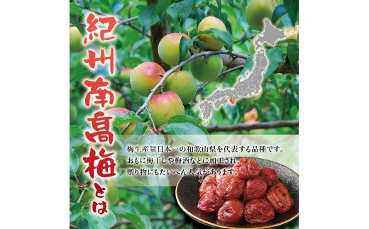 紀州南高梅　＜つぶれ梅＞かつお【ハチミツ入】塩分10%（1.5kg）なかやまさんちの梅干 うめ ウメ 梅干し【nky014-215k】