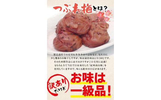 紀州南高梅　＜つぶれ梅＞かつお【ハチミツ入】塩分10%（1.5kg）なかやまさんちの梅干 うめ ウメ 梅干し【nky014-215k】