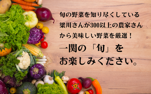 【定期便/6か月】注文が来てから収穫発送！収穫したばかりの新鮮野菜セット お試しコース 《7～8品》 季節のお野菜 おまかせ お楽しみ 獲れたて産地直送 旬 鍋 冬野菜 ベジタブル ヘルシー 健康 詰め合わせ 一関市