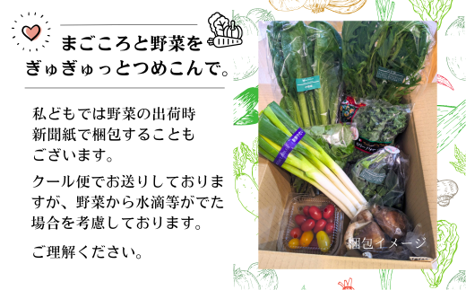 【定期便/6か月】注文が来てから収穫発送！収穫したばかりの新鮮野菜セット お試しコース 《7～8品》 季節のお野菜 おまかせ お楽しみ 獲れたて産地直送 旬 鍋 冬野菜 ベジタブル ヘルシー 健康 詰め合わせ 一関市