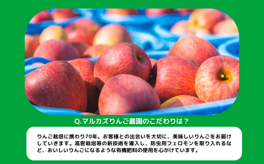 りんごジュース ( 季節のりんご ) 1000ml × 6本 果汁100% マルカズりんご農園 沖縄県への配送不可 飲料 果汁飲料 りんご リンゴ 林檎 ジュース 信州 16000円 長野県 飯綱町 [0988]