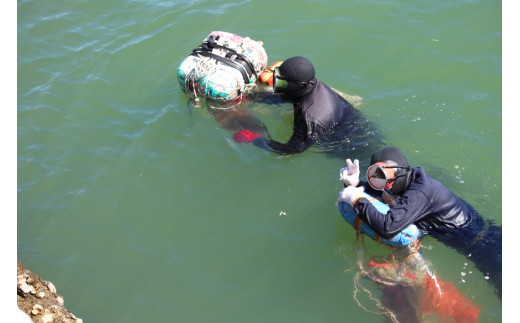 御宿のアワビは、海士さんが素潜りで獲りに行きます