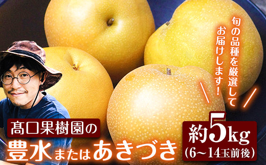 あきづき 豊水 のどちらかをお届けします！ 約5kg (6～14玉前後) 熊本県荒尾市産 髙口果樹園《8月下旬-10月上旬頃出荷》