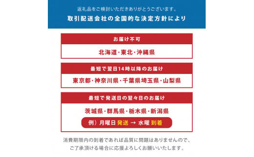 旬の朝獲れ鮮魚（焼き魚用）漁師おすすめセット【以布利定置網　漁師直送】朝獲れ 旬 焼き魚 焼魚 鮮魚 魚介 海鮮 魚 さかな せんぎょ 鮮魚セット 詰め合わせ おまかせ お任せ【S00821】