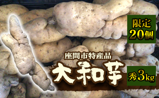 座間市特産品　大和芋　秀　3kg｜贈答品 とろろいも とろろ芋 山芋とろろ やまいも やまといも
※2022年12月上旬～2023年1月下旬頃に順次発送予定