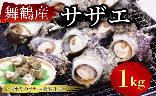 【 期間限定 】 訳あり 国産 舞鶴 サザエ 1kg セット 冷凍 7～9個 舞鶴産 さざえ 巻き貝 1キロ BBQ バーベキュー アウトドア キャンプ 人気 栄螺 海鮮 かいせん 貝 カイ 不揃い 新鮮 こだわり 京都 舞鶴 1万円 10000円 舞景