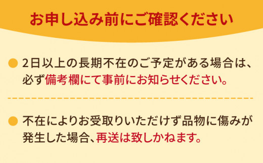 【糖度が高くて甘みたっぷり！】【1月より順次発送】さがほのか 220~250g×2【ブイマート・幸ちゃん】吉野ヶ里町[FAL004] 