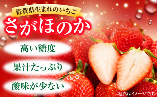 【糖度が高くて甘みたっぷり！】【1月より順次発送】さがほのか 220~250g×2【ブイマート・幸ちゃん】吉野ヶ里町[FAL004] 