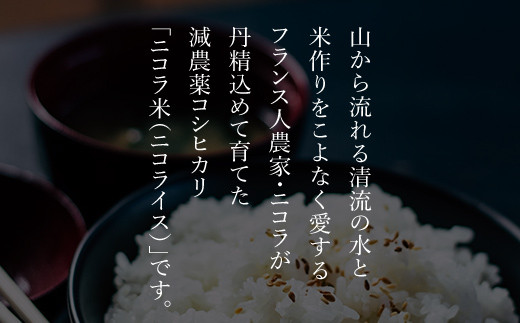 フランス人農家が丹精込めて育てた減農薬コシヒカリ　二コラ米（二コライス）【令和６年産新米】精米20kg×1袋 ふるさと納税 減農薬コシヒカリ  こめ コメ 精米 清流の水 ふっくら もちもち 水きれい 京都府 福知山市 京都 福知山 奥京都 