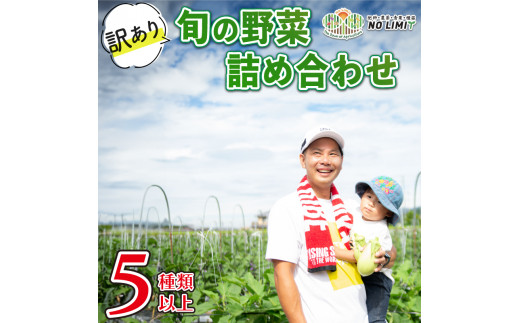 訳あり 野菜 5種以上 詰合せ セット 旬野菜 やさい レタス グリーンリーフ サニーレタス ロメインレタス キャベツ 赤キャベツ 大根 ニラ スナップエンドウ さやえんどう 人参 玉ねぎ ゴーヤ オクラ 茄子 白茄子 生姜 青ネギ 農家直送 産地直送 新鮮 旬 おかず 弁当 日用 惣菜 不揃い 規格外 冷蔵 お取り寄せ 徳島県 阿波市 NO LIMIT