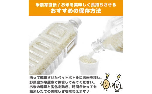 コシヒカリ 5kg 令和6年産 米 こめ ご飯 ごはん おにぎり 白米 無洗米 玄米 精米 新米 卵かけご飯 食品 備蓄 備蓄米 保存 防災 ギフト 贈答 プレゼント お取り寄せ グルメ 送料無料 徳島県 阿波市 栗栖農園