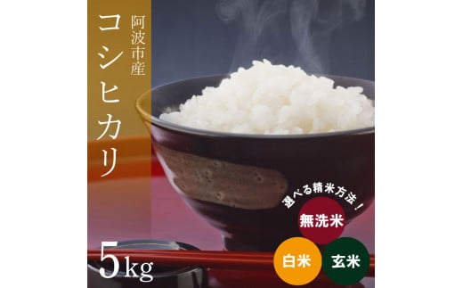 コシヒカリ 5kg 令和6年産 米 こめ ご飯 ごはん おにぎり 白米 無洗米 玄米 精米 新米 卵かけご飯 食品 備蓄 備蓄米 保存 防災 ギフト 贈答 プレゼント お取り寄せ グルメ 送料無料 徳島県 阿波市 栗栖農園