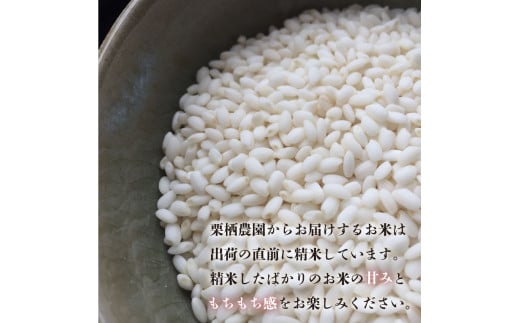 コシヒカリ 5kg 令和6年産 米 こめ ご飯 ごはん おにぎり 白米 無洗米 玄米 精米 新米 卵かけご飯 食品 備蓄 備蓄米 保存 防災 ギフト 贈答 プレゼント お取り寄せ グルメ 送料無料 徳島県 阿波市 栗栖農園