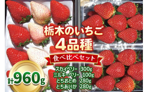 栃木のいちご4品種 食べ比べセット｜とちあいか とちおとめ ミルキーベリー スカイベリー いちご 苺 フルーツ 果物 アソート 産地直送 [0524]