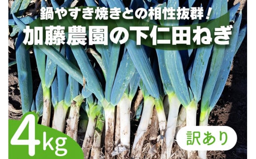 [数量限定]【訳あり】産地直送！加藤農園の下仁田ねぎ 4kg (細め) 2024年12月中旬より順次発送｜先行予約 訳あり品 冬の味覚 下仁田ネギ 鍋 すき焼き 葱 ネギ 殿様ねぎ かき揚げ 国産 群馬県産 甘楽町 産地直送 [0238]