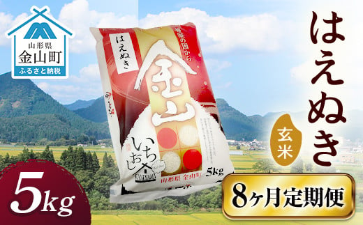 令和6年産《定期便》 金山産米 はえぬき【玄米】（5kg）×8ヶ月計40kg 定期便 8ヶ月 米 お米 ご飯 玄米 ブランド米 送料無料 東北 山形 金山町 F4B-0527