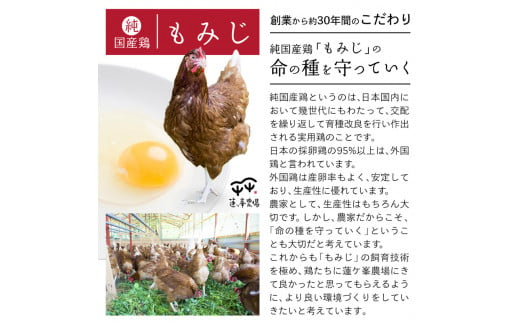 【定期便3ヶ月】平飼いたまご 24個×3ヶ月間 【 卵定期便 たまご定期便 平飼い卵 非遺伝子組み換え 自家配合 たまご タマゴ 平飼い 卵 国産 純国産鶏 もみじの平飼い卵 京都奥丹波 綾部 京都 蓮ヶ峯農場 】