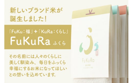 【定期便】 【3ヶ月連続お届け】 無洗米 真空パック こしひかり 1合 5パック × 3箱  『FuKuRa』【令和6年産 新米】