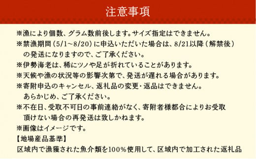 沖永良部島直送！素潜り漁師オススメの冷凍伊勢海老 約500g（1～2匹）！　W030-018