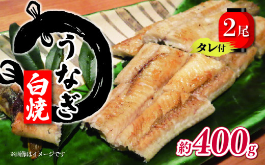 国産 うなぎ 白焼 2尾 計400g ( 1尾あたり約200g ) タレ付   ( グルメ うなぎ 鰻 新鮮 たれ 土曜 丑の日 真空パック おすすめ 滋賀県 竜王 送料無料 )