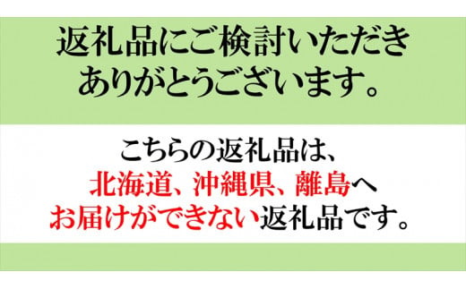 「自然発酵　どぶろく」　循環型醸造　4種セット　カムナガラ・アヴァン　（生・火入れ）　地酒　飲み比べ＜出荷開始：2024年3月20日～2024年10月31日まで＞【 地酒 お酒 長野県 佐久市 】