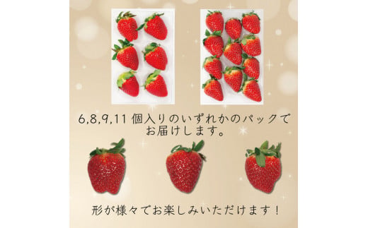 【 先行予約 】 いちご 500g  2 品種 250g 各 1パック スターナイト 天使のいちご 紅ほっぺ やよい姫 苺 ストロベリー 新鮮 果物 フルーツ デザート スイーツ おやつ お菓子 洋菓子 ケーキ ゼリー ジュース ジャム アイス シャーベット スムージー ヨーグルト クレープ タルト フルーツサンド ギフト プレゼント お取り寄せ グルメ 冷蔵 送料無料 阿波市 徳島県 はに農園