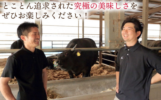 【全12回定期便】異なる調理法でお肉楽しむ 長崎和牛 食べ比べ セット 総計約8.4kg【株式会社 OGAWA】 [QBI008] 牛肉 赤身 サーロインステーキ カルビ 41万円 410000円