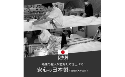 大牟田市生産 合繊掛け布団 シングルロング 中綿1.2kg 150×210cm ブラウン【1553812】