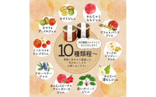 Vege＆More  ベストセット