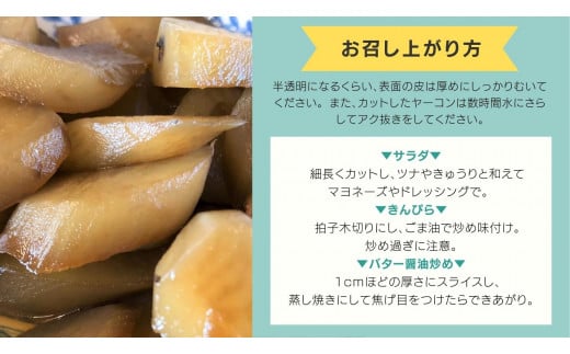 牛久市産 泥付き 「 ヤーコン 」 1.8kg 野菜 健康 健康野菜 食物繊維 根菜 芋 いも イモ