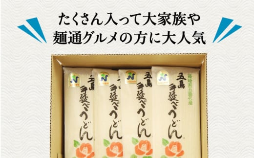 【五島うどんランキング1位！】五島手延べうどん 300g×10袋 うどん 乾麺 麺 五島うどん 【江口製麺】 [RBO009]