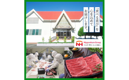 宮崎県産黒毛和牛切り落とし(600g・300g×2P) モモ カタ バラ 国産 牛肉 こま肉 精肉 宮崎県産牛 お肉 黒毛和牛 おにく お取り寄せ【SJ009】【日本ハムマーケティング株式会社】