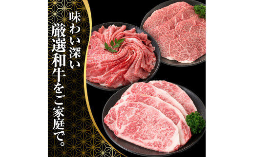 宮崎県産黒毛和牛切り落とし(600g・300g×2P) モモ カタ バラ 国産 牛肉 こま肉 精肉 宮崎県産牛 お肉 黒毛和牛 おにく お取り寄せ【SJ009】【日本ハムマーケティング株式会社】