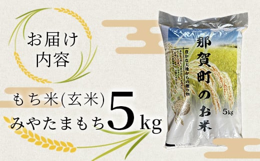 那賀町相生産 みやたまもち 玄米 5kg 1袋【徳島 那賀 国産 徳島県産 ミヤタマモチ お米 こめ おこめ 餅米 もち米 お餅 モチ米 米 玄米 5キロ 餅 お正月 おはぎ 赤飯 おこわ ちまき 多用途 おいしい 食べて応援 お取り寄せ 産地直送】YS-43