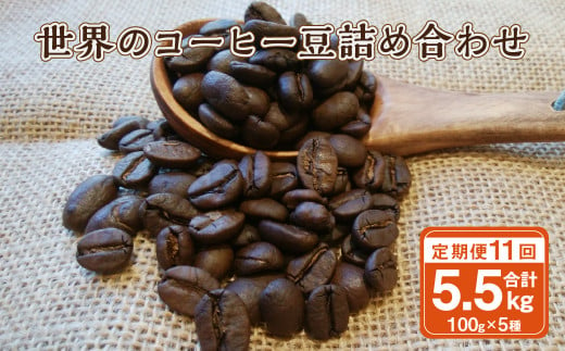 【11ヶ月定期便】世界のコーヒー豆詰め合わせ 500g(100g×5種)