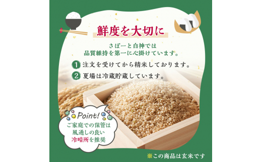 新米 米 お米 《定期便10ヶ月》【玄米】秋田県産 あきたこまち あきた種梅産こまち 杜の雫 こだわりの大粒 10kg×10回 合計100kg